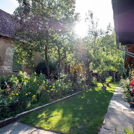 Villa Rihuini Eco Wine House Transylvania Richisu Eksteriør billede