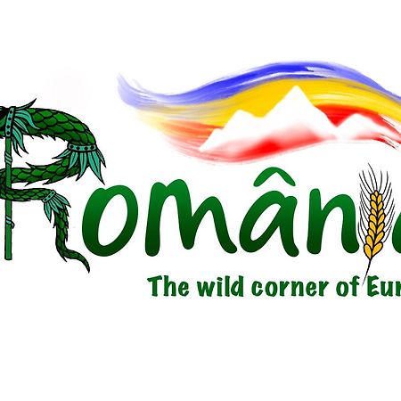 Villa Rihuini Eco Wine House Transylvania Richisu Eksteriør billede