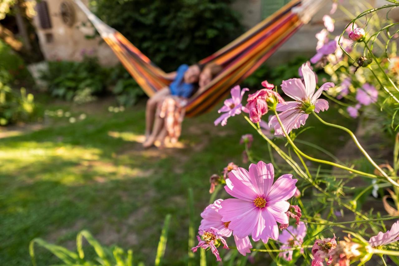 Villa Rihuini Eco Wine House Transylvania Richisu Eksteriør billede
