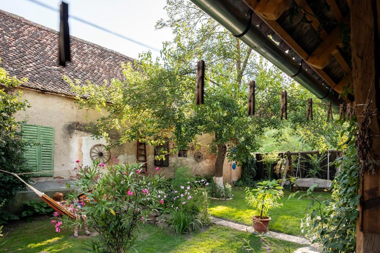 Villa Rihuini Eco Wine House Transylvania Richisu Eksteriør billede