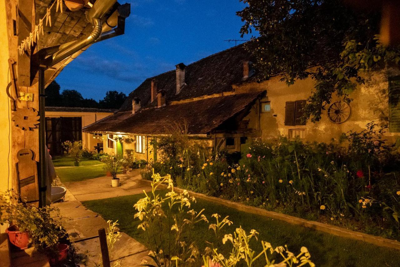 Villa Rihuini Eco Wine House Transylvania Richisu Eksteriør billede
