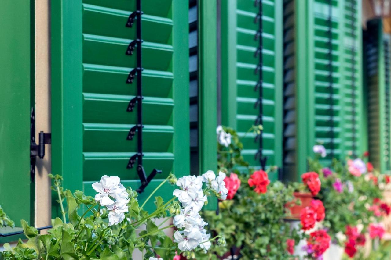 Villa Rihuini Eco Wine House Transylvania Richisu Eksteriør billede