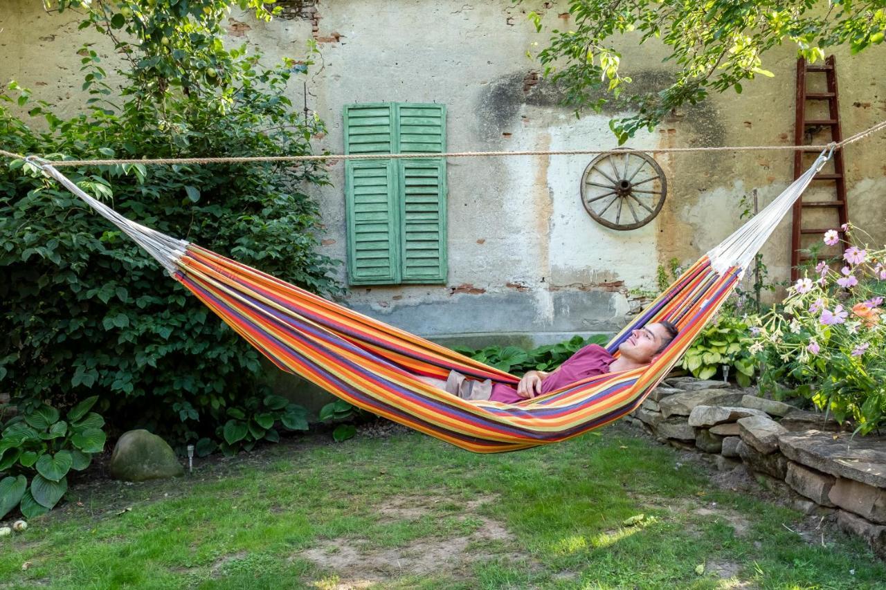 Villa Rihuini Eco Wine House Transylvania Richisu Eksteriør billede