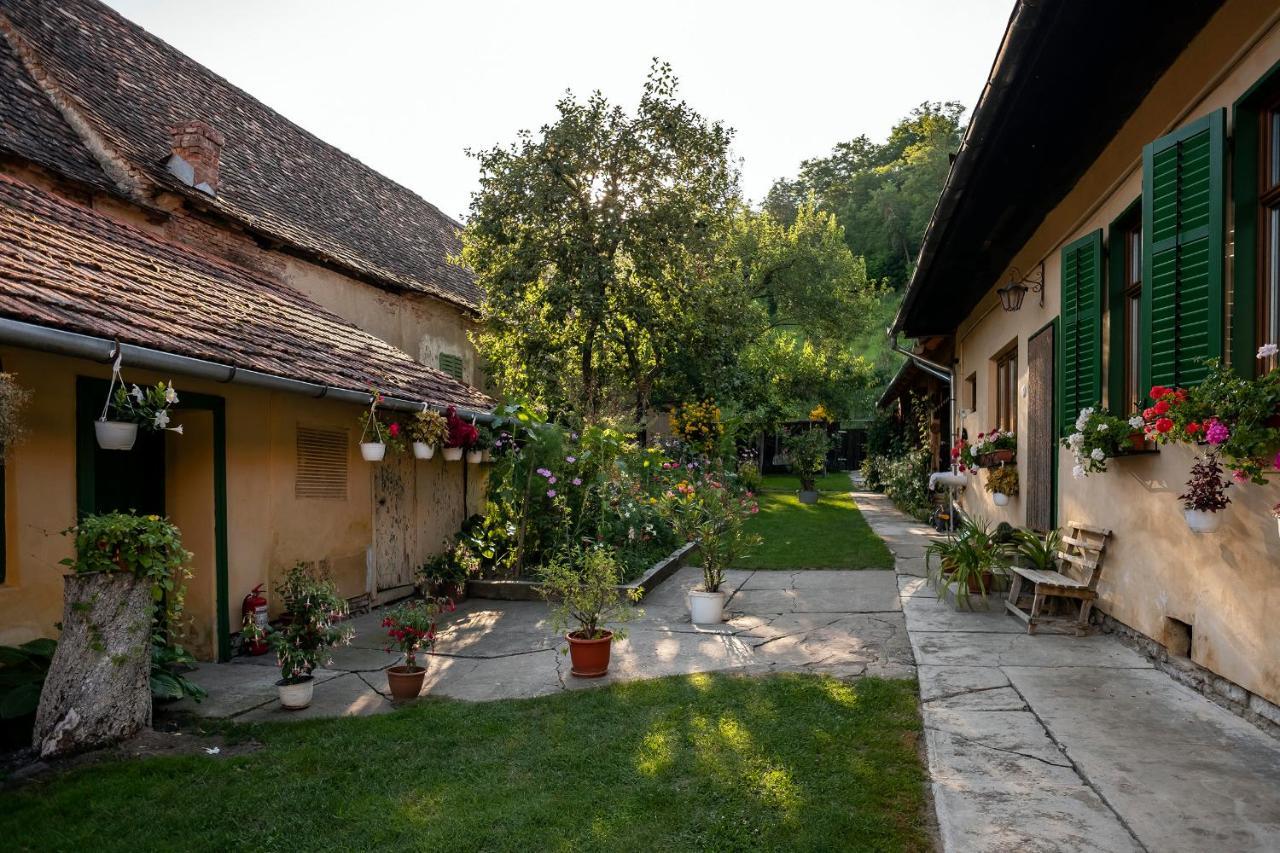 Villa Rihuini Eco Wine House Transylvania Richisu Eksteriør billede