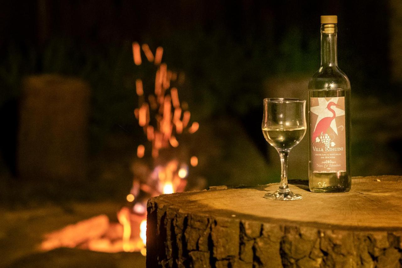 Villa Rihuini Eco Wine House Transylvania Richisu Eksteriør billede