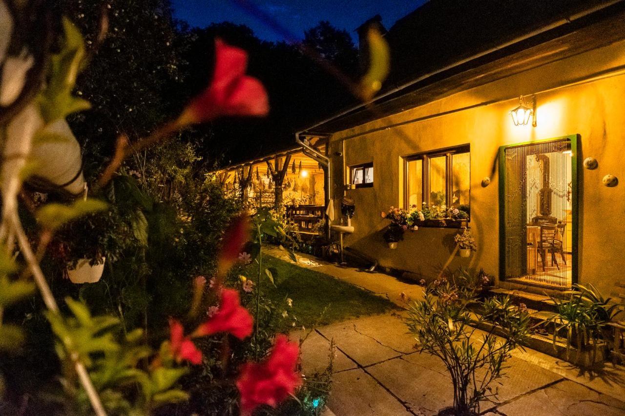 Villa Rihuini Eco Wine House Transylvania Richisu Eksteriør billede