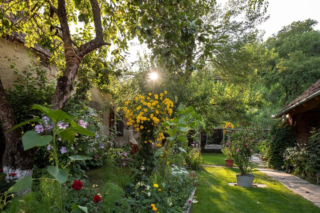 Villa Rihuini Eco Wine House Transylvania Richisu Eksteriør billede