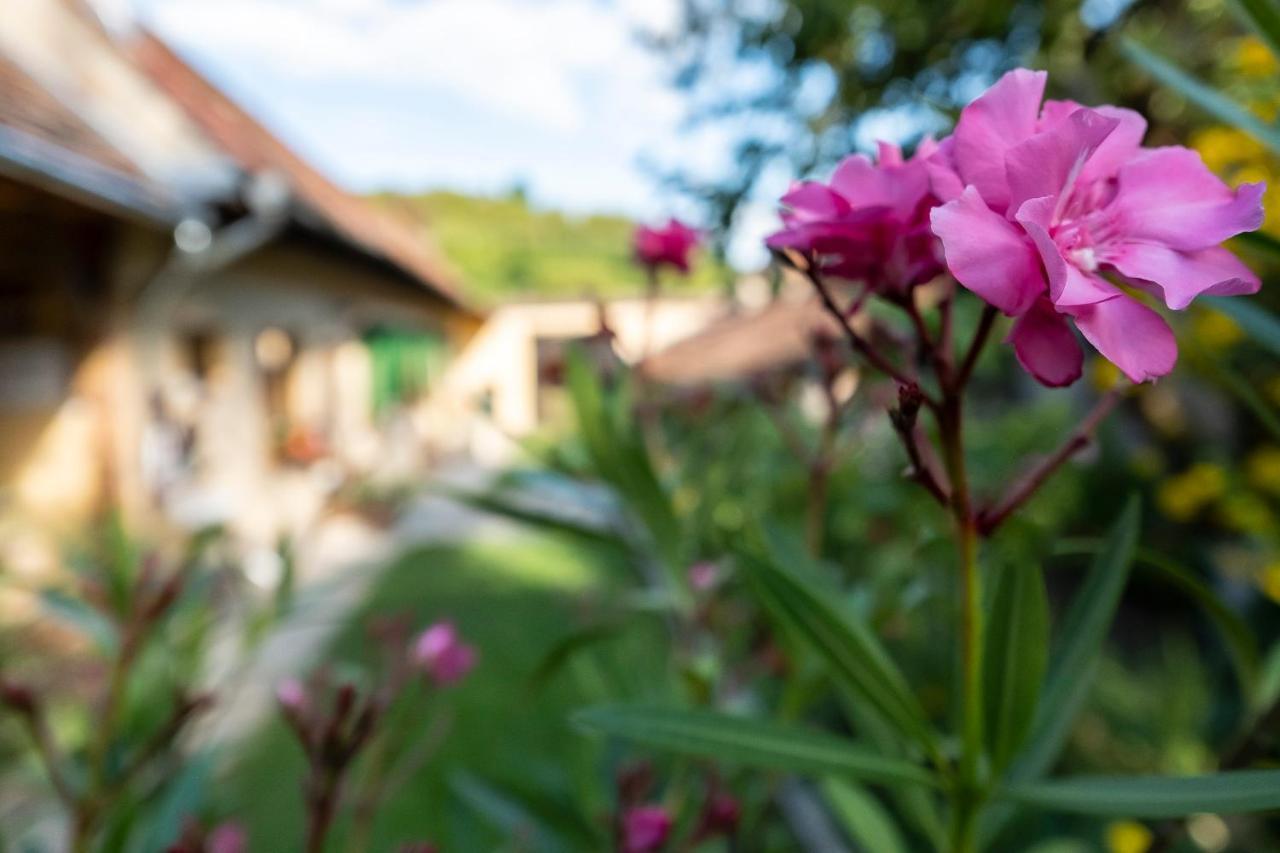 Villa Rihuini Eco Wine House Transylvania Richisu Eksteriør billede