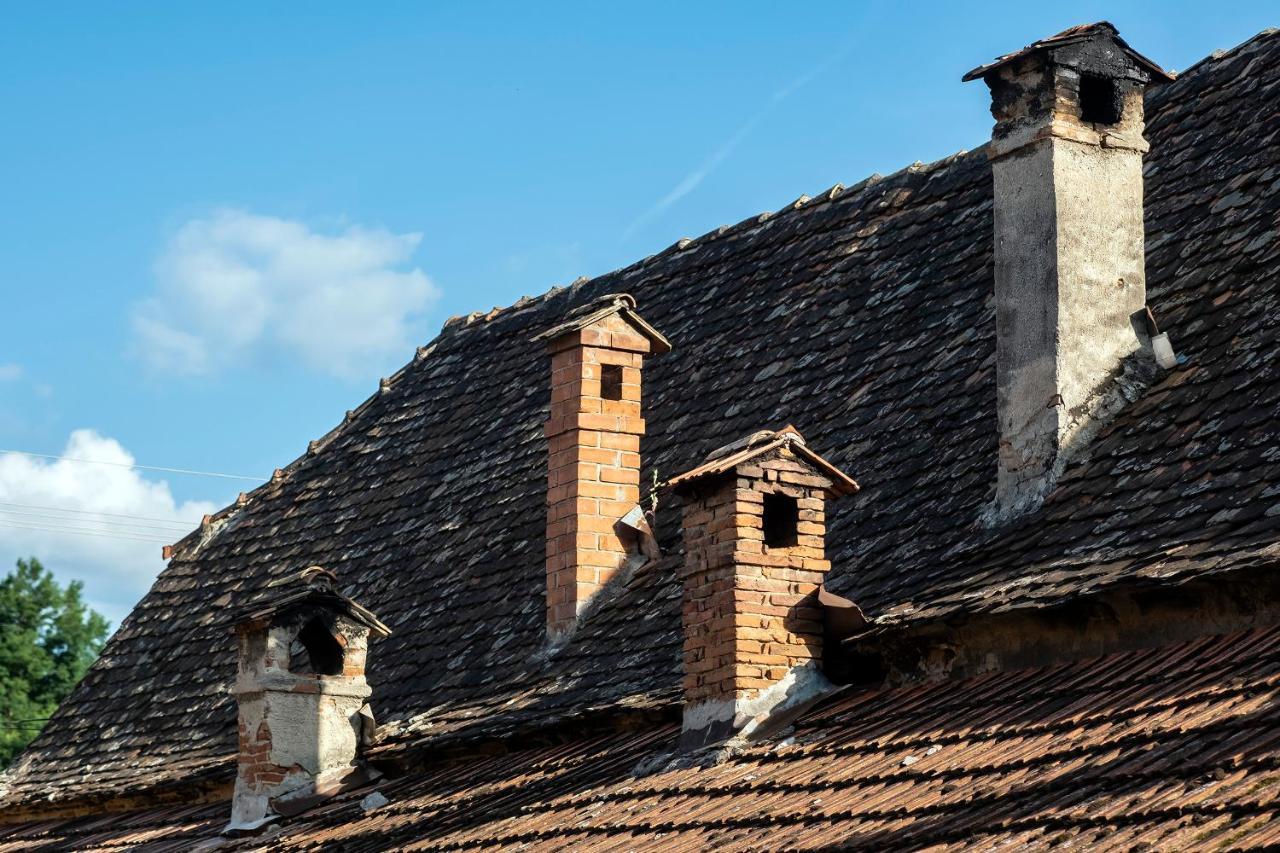 Villa Rihuini Eco Wine House Transylvania Richisu Eksteriør billede