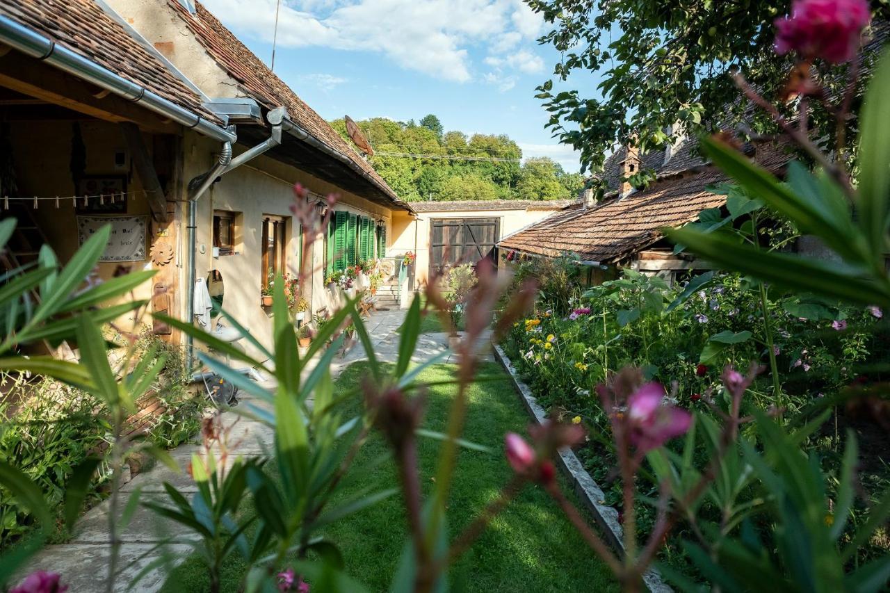 Villa Rihuini Eco Wine House Transylvania Richisu Eksteriør billede