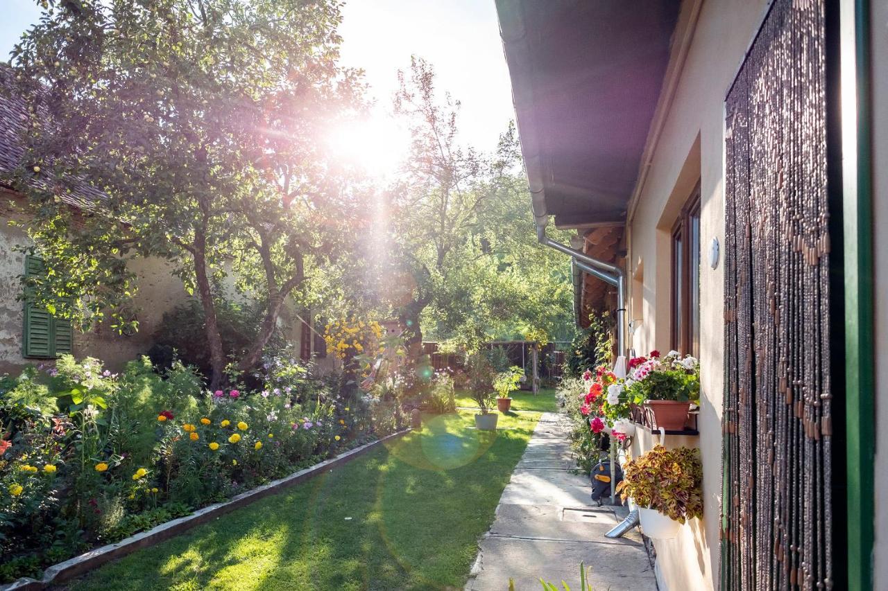 Villa Rihuini Eco Wine House Transylvania Richisu Eksteriør billede