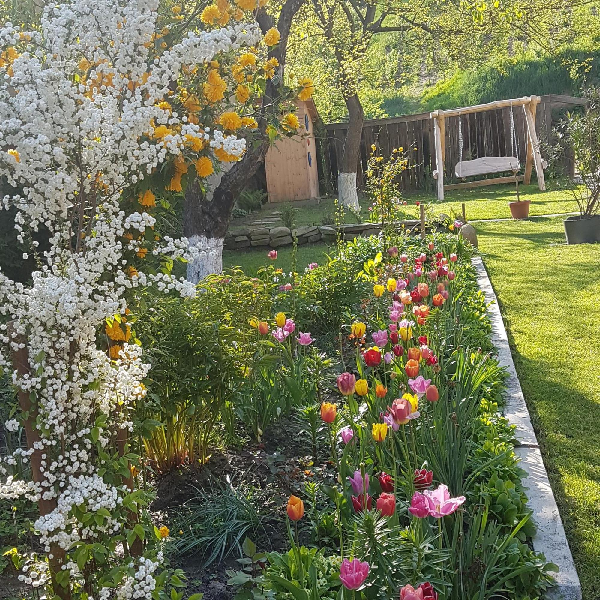 Villa Rihuini Eco Wine House Transylvania Richisu Eksteriør billede